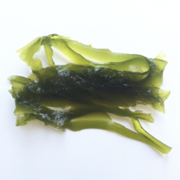 seaweed