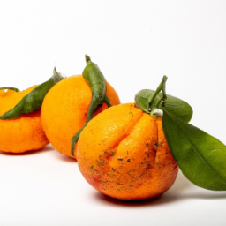 sicilian mandarin