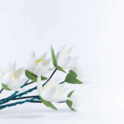 snow lotus