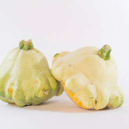squash