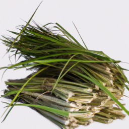 tahitian vetiver