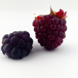 tayberry