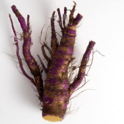 violet root
