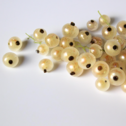 white currant