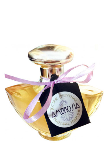 Ambrosia - TRNP
