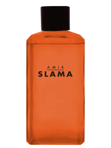 Amir Slama Raiz - Phebo