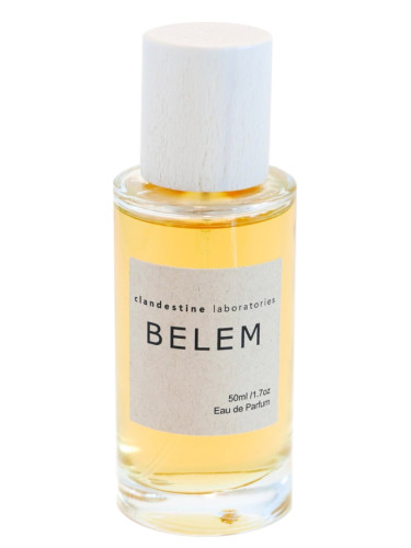 Belem - Clandestine Laboratories