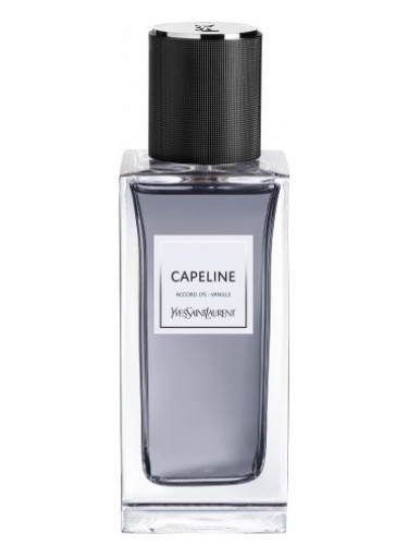 Capeline - Yves Saint Laurent