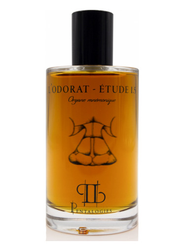 Etude 1.5: L’Odorat - Pentalogies