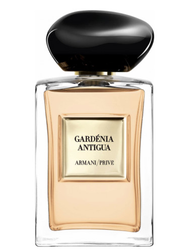 Gardénia Antigua - Giorgio Armani