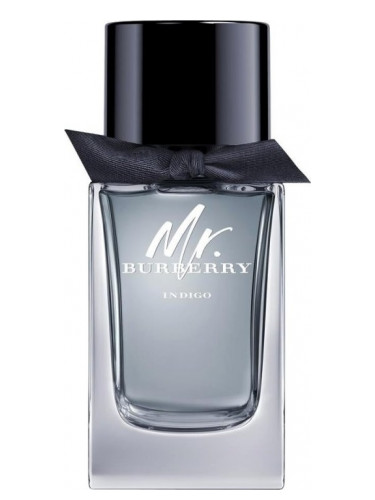 Mr. Burberry Indigo - Burberry