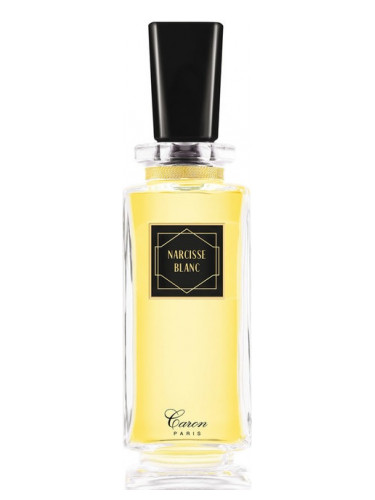 Narcisse Blanc - Caron