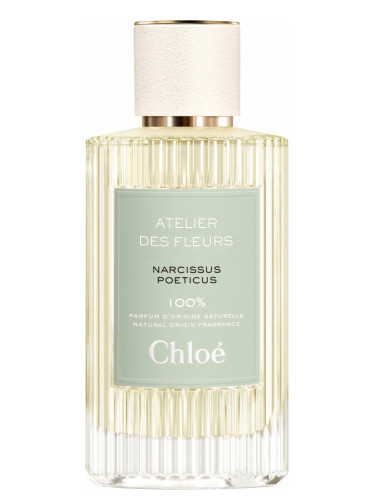 Narcissus Poeticus - Chloé