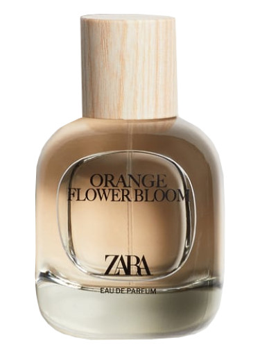 Orange Flower Bloom - Zara