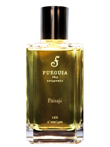 Paisaje - Fueguia 1833