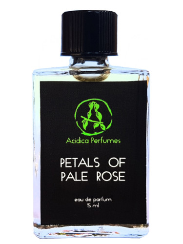 Petals of pale rose - Acidica Perfumes