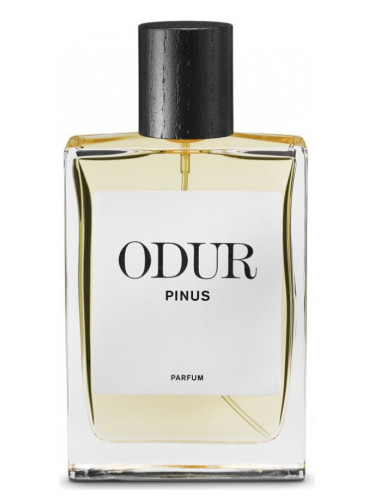 Pinus - ODUR