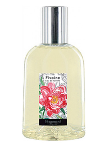 Pivoine - Fragonard