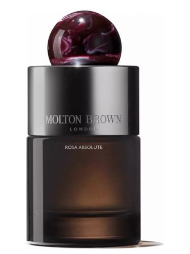 Rosa Absolute Eau de Parfum - Molton Brown