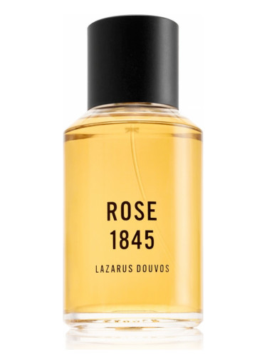 Rose 1845 - Lazarus Douvos