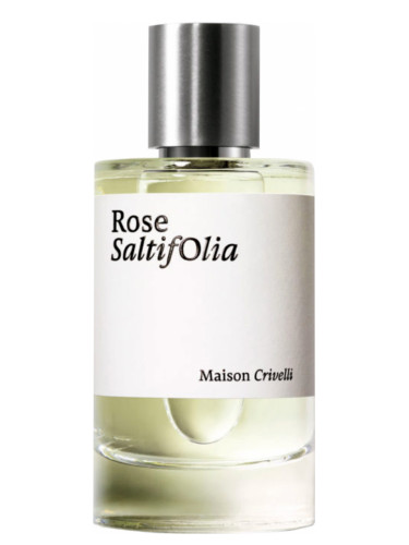 Rose SaltifOlia - Maison Crivelli