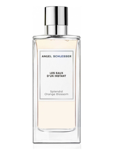Splendid Orange Blossom - Angel Schlesser