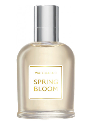 Spring Bloom - Brocard