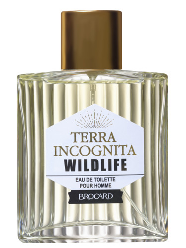 Terra Incognita Wild Life - Brocard