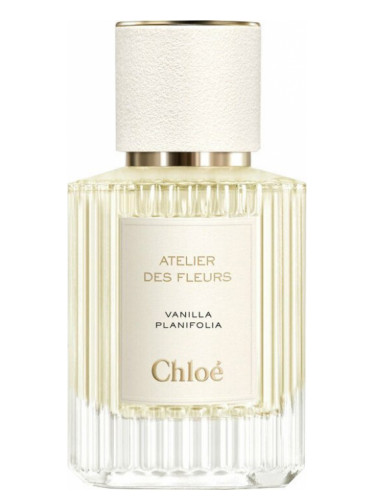 Vanilla Planifolia - Chloé