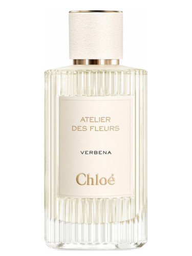 Verbena - Chloé