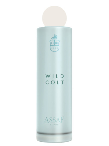 Wild Colt - Assaf